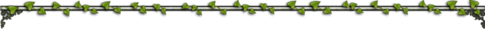63089209_46022707_1.png