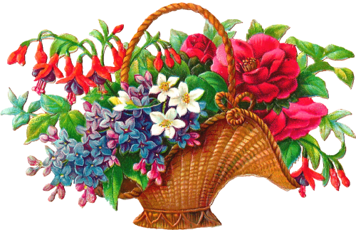 50 507321 antique images free flower basket clip art 2